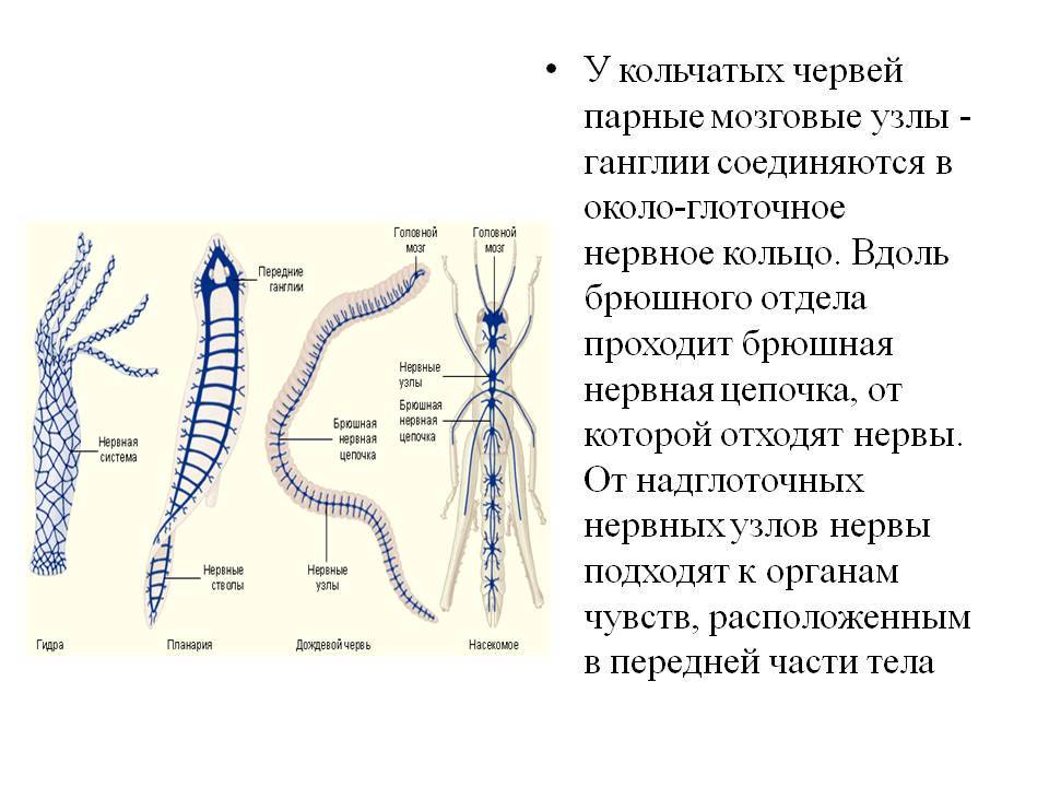 Как зарегаться в кракен